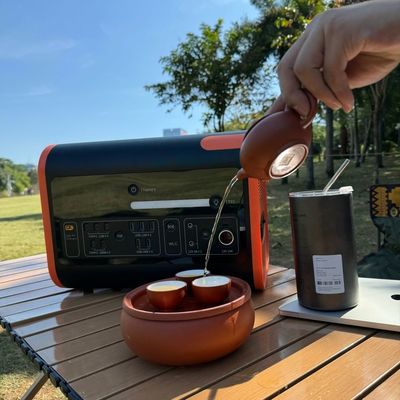 600W 2000W draagbare elektriciteitscentrale zonne-energiegenerator voor camping