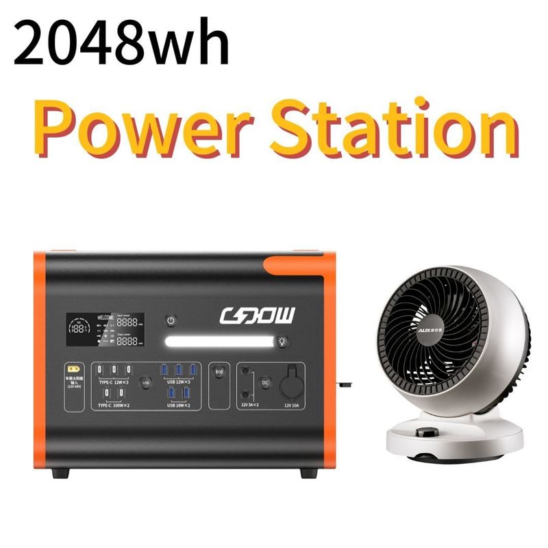 AC-uitgangsspanning AC 100V-120V/AC 220V-240V Zuivere sinusgolfinverter LiFePO4