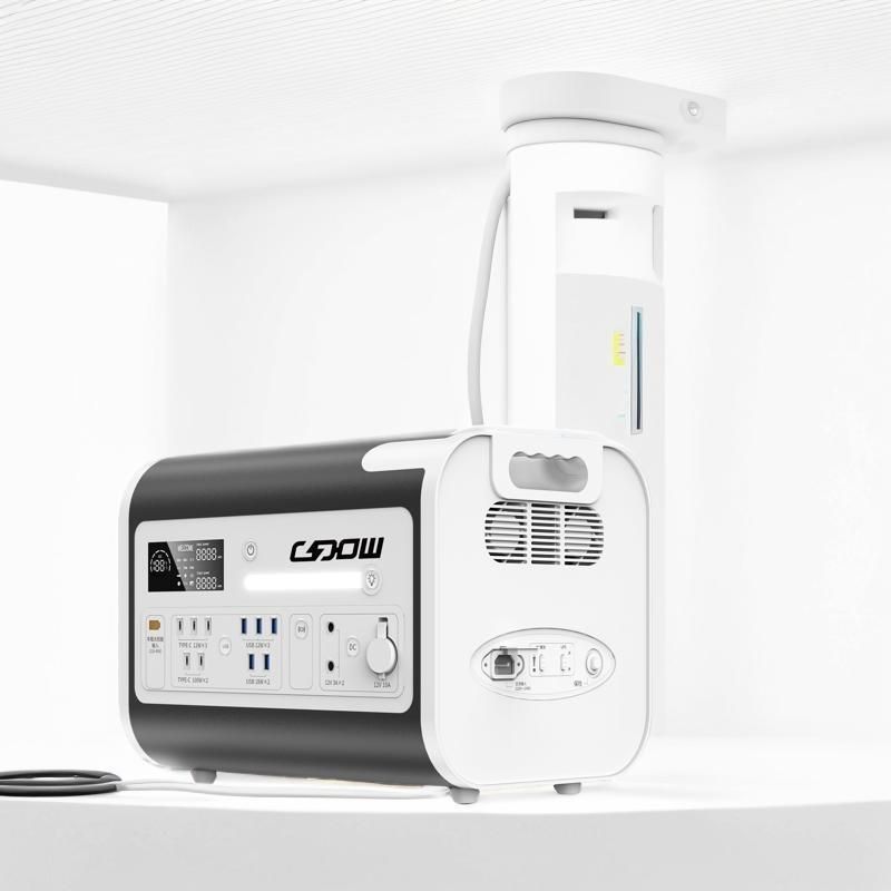 LiFePO4 accu type 220V Uitgang Draagbare elektriciteitscentrale voor picknicken en noodgevallen